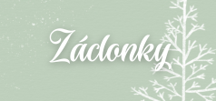 Vánoční záclonky