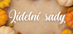 Podzimní sady