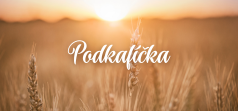 Podkafíčka