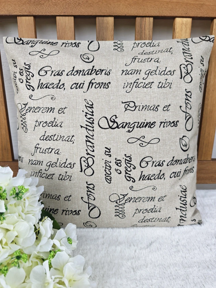 Povlak na polštář 40 x 40 cm – Latinské nápisy na béžové | Ruční výroba z bavlny